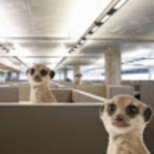 Meet your Posher, Mike